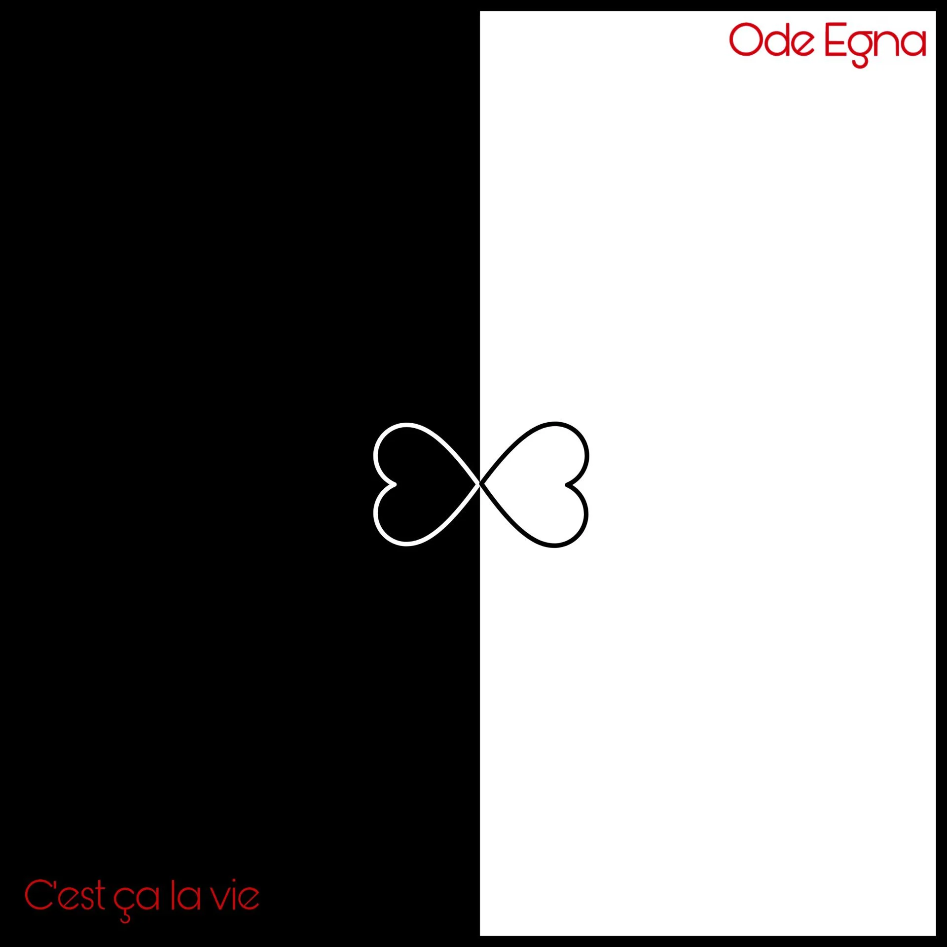 Picsart 25 08 24 17 17 21 13